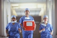 Главные проблемы трансплантологии - бюрократизм и отсутствие финансирования