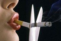 Тотальный запрет на курение не лишит российского общества сигарет