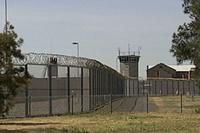 В Австралии женщин-заключенных привязывают к койкам