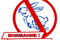 Московский «заяц» будет стоить 1 тыс. руб.