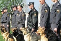 Ежедневные собачьи патрули появятся на вокзалах и в аэропортах России