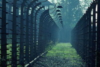 АЛКОГОЛЬ – ЗАБЫТЫЙ СООБЩНИК НАЦИСТОВ