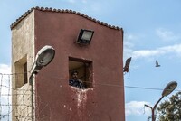 «КОЛЛЕКТИВНЫЕ НАКАЗАНИЯ» В КРУПНЕЙШЕЙ ЕГИПЕТСКОЙ ТЮРЬМЕ