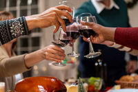 ПРЕДЛОЖИТЬ НА НОВЫЙ ГОД ПОДРОСТКУ БОКАЛ ШАМПАНСКОГО? – ОЧЕНЬ ПЛОХАЯ ИДЕЯ!