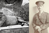 29 ДЕКАБРЯ 1898 ГОДА: ДЕНЬ, КОГДА В КЕНИИ БЫЛ УБИТ ЛЕВ-ЛЮДОЕД