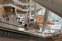 АДВОКАТ, СНИМАВШИЙ ПОД ЮБКАМИ, ПРИГОВОРЕН К 1 ГОДУ ТЮРЬМЫ УСЛОВНО