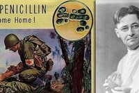 12 ФЕВРАЛЯ 1941 ГОДА: ДЕНЬ, КОГДА ВПЕРВЫЕ БЫЛ ИСПОЛЬЗОВАН ПЕНИЦИЛЛИН