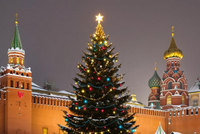 ОТ ЯЗЫЧНИКОВ ДО ЛЮТЕРА, А ЗАТЕМ И ПЕТРА I: ИСТОРИЯ РОЖДЕСТВЕНСКОЙ ЕЛКИ