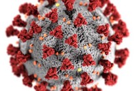 ФРАНЦИЯ: КОРОНАВИРУС И ТЮРЬМЫ