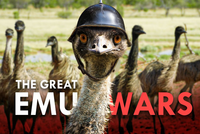 10 ДЕКАБРЯ 1932 ГОДА: ДЕНЬ, КОГДА АВСТРАЛИЙСКАЯ АРМИЯ ПРОИГРАЛА ВОЙНУ… ПТИЦАМ