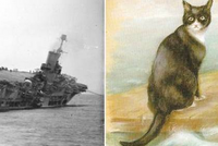 27 МАЯ 1941 ГОДА: ДЕНЬ, КОГДА КОТ ПО КЛИЧКЕ СЭМ ПЕРЕЖИЛ ПЕРВОЕ В СВОЕЙ ЖИЗНИ КОРАБЛЕКРУШЕНИЕ