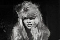 УШЛА ИЗ ЖИЗНИ БРИЖИТ БАРДО, ЛЕГЕНДА МИРОВОГО КИНО И ЯРОСТНАЯ ЗАЩИТНИЦА ЖИВОТНЫХ