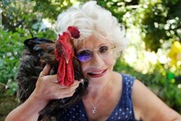 ПЕТУХ МОРИС ВЫИГРАЛ СУД