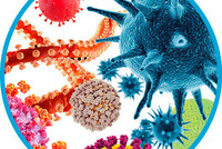 СМЕРТОНОСНЫЕ ВИРУСЫ ПОСЛЕДНИХ 100 ЛЕТ