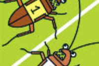 Спортивный азарт