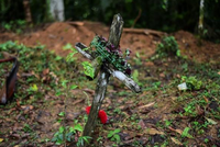 КРОВАВЫЙ «ЭКЗОРЦИЗМ» В ПАНАМЕ: 50 ЛЕТ ТЮРЬМЫ ДЛЯ ЧЛЕНОВ СЕКТЫ