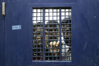 ИЗРАИЛЬ: ПАЛЕСТИНСКИЕ ЗАКЛЮЧЕННЫЕ НАЧАЛИ МАССОВУЮ ГОЛОДОВКУ