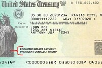 СКОЛЬКО АМЕРИКАНЦЕВ ПОЛУЧИЛИ «ЧЕК ОТ ТРАМПА» НА 1 200 ДОЛЛАРОВ?