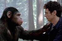 28 ФЕВРАЛЯ 1927 ГОДА: ДЕНЬ, КОГДА ДВЕ САМКИ-ШИМПАНЗЕ ПОЛУЧИЛИ ЧЕЛОВЕЧЕСКУЮ СПЕРМУ