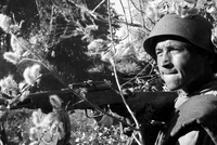 17 ИЮЛЯ 1942 ГОДА: ДЕНЬ, КОГДА НАЧАЛАСЬ СТАЛИНГРАДСКАЯ БИТВА, СТАВШАЯ ВЕЛИКИМ ПОДВИГОМ СОВЕТСКИХ СОЛДАТ