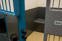 ПРАВО НА ПОБЕГ