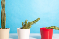 ДВА НОВЫХ ПУТИ БОРЬБЫ С ИМПОТЕНЦИЕЙ