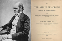 24 НОЯБРЯ 1859 ГОДА: ДЕНЬ, КОГДА БЫЛА ОПУБЛИКОВАНА НАУЧНАЯ РАБОТА ЧАРЛЬЗА ДАРВИНА «ПРОИСХОЖДЕНИЕ ВИДОВ ПУТЕМ ЕСТЕСТВЕННОГО ОТБОРА»