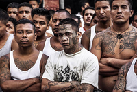 МЕКСИКАНСКИЕ БАНДЫ СОСТАВЛЯЮТ ОДНУ ИЗ САМЫХ СТРАШНЫХ В МИРЕ МАФИЙ