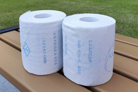 ОТ СУИЦИДА СПАСЕТ… ТУАЛЕТНАЯ БУМАГА