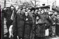 27 ЯНВАРЯ 1945 ГОДА: ДЕНЬ, КОГДА СОВЕТСКИЕ ВОЙСКА ОСВОБОДИЛИ КОНЦЛАГЕРЬ ОСВЕНЦИМ