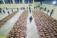 САЛЬВАДОР РАЗРЕШАЕТ ИСПОЛЬЗОВАНИЕ «СМЕРТЕЛЬНОЙ СИЛЫ» ПРОТИВ БАНД