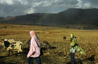 ЭФИОПИЯ: «РАЗВИТИЕ» СЕЛЬСКОГО ХОЗЯЙСТВА  ПОД СТРАХОМ ЗАКЛЮЧЕНИЯ В ТЮРЬМУ