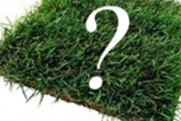 Земля под домом - сложности приватизации