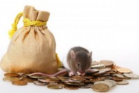 Дифференциация мошенничества – примитивный подход к совершенствованию статьи