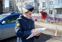 Омские приставы избавили жильцов многоквартирного дома от удушливого запаха кошек в подъезде