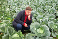 Пустующие земли дачников и организаций надо раздать многодетным