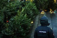Бывшего полицейского судят за получение взятки новогодней елкой 