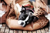 Соседи не должны диктовать, каким имуществом мне обзаводиться