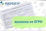 В ФНП разъяснили, по каким основаниям можно получить выписку из ЕГРН о владельце недвижимости
