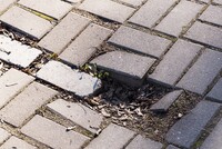 В Благовещенске семье ребенка выплатили 400 000 рублей компенсации за сломанные руки