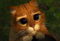 Высокая слышимость – специфика наших домов и сезонный фактор