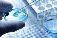 Рецензирование экспертных заключений генетической экспертизы.