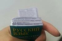 Из-за ролика о том, как пользоваться шпаргалками на ЕГЭ, школьнице отменили его результаты, восстанавливать пришлось через суд