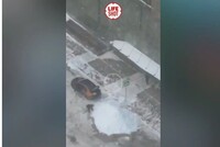 В «Москва-Сити» водитель каршеринга украл снег