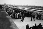 70-ти летию освобождения Аушвица