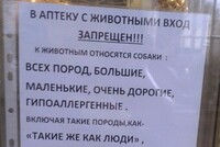 Заходить с собаками в магазины, заведения общепита, медицинские и образовательные организации, учреждения культуры хотят запретить, исключение – собаки-поводыри