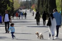 Иранская прокуратура запретила выгул собак более чем в 20 городах «в целях обеспечения общественной гигиены и физической и психологической безопасности населения»