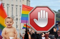 Более 30 стран мира поддержали принятый в России закон о запрете пропаганды гомосексуализма