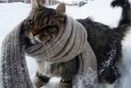 Минобороны запретило солдатам мерзнуть и петь в строю