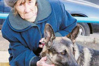 Уральская пенсионерка заплатит 15 тыс. за укус ребенка